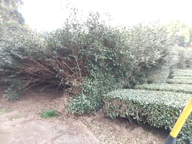 【外観】の画像