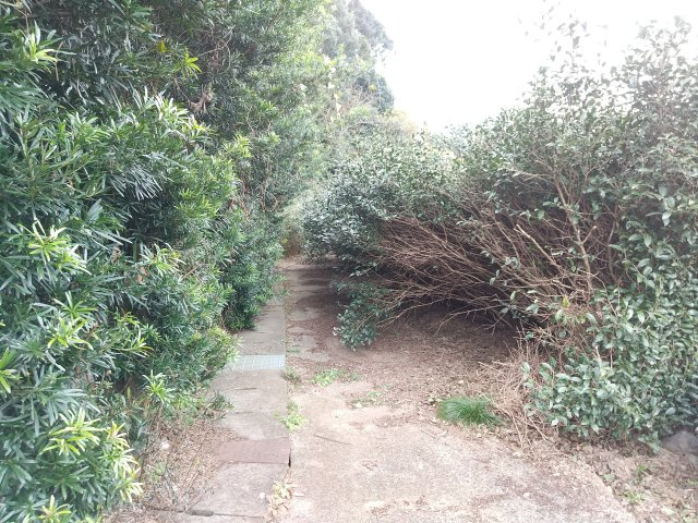 【外観】の画像