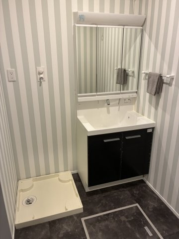 小針藤山NeoMaisonの洗面所