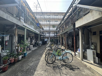 【周辺】 | 平野文化