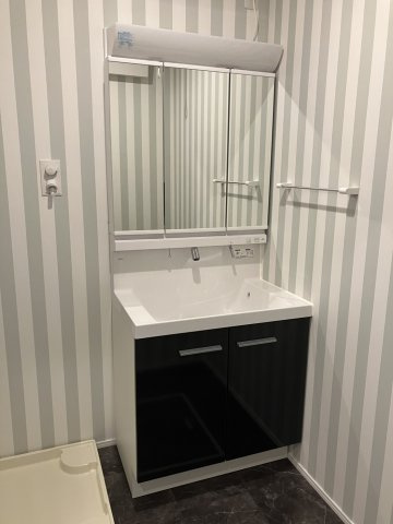 小針藤山NeoMaisonの洗面所