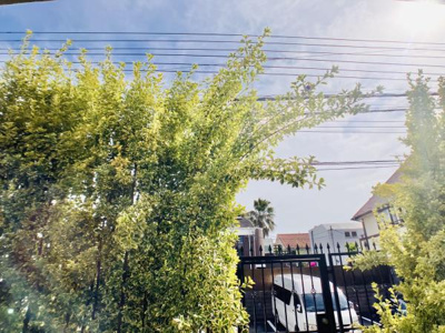 【その他】 | カールスルーエ吉祥寺