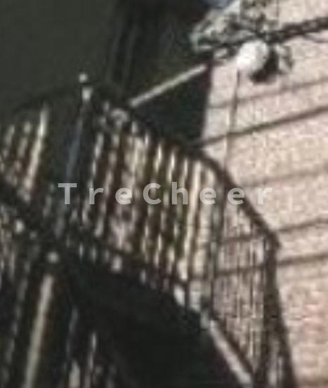 フランボワーズのその他共用部分