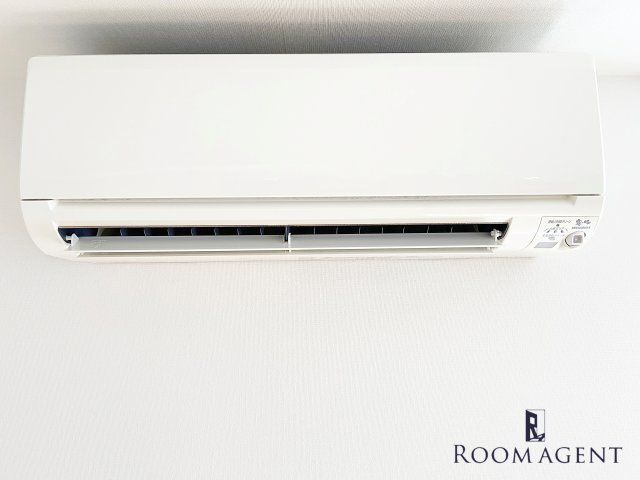 スヴニール伝馬のその他