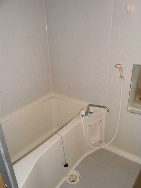 ハイリスベーネ池下の浴室