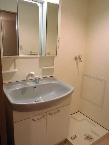 ハイリスベーネ池下の洗面所