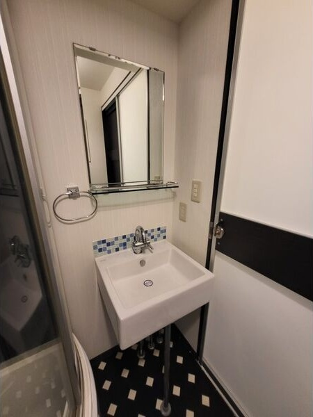 リンデンバウムJ6 B棟の洗面所