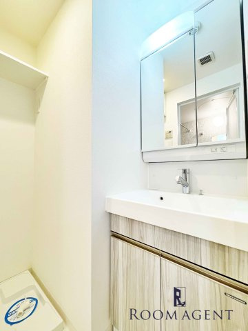 CAVANA新栄(旧ディアレイシャス新栄)の洗面所