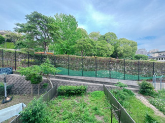 【展望】 | 部屋からダイレクトに緑です。