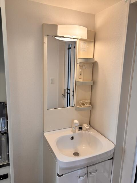 フォレストハウス鎌ヶ谷の洗面所|独立洗面台