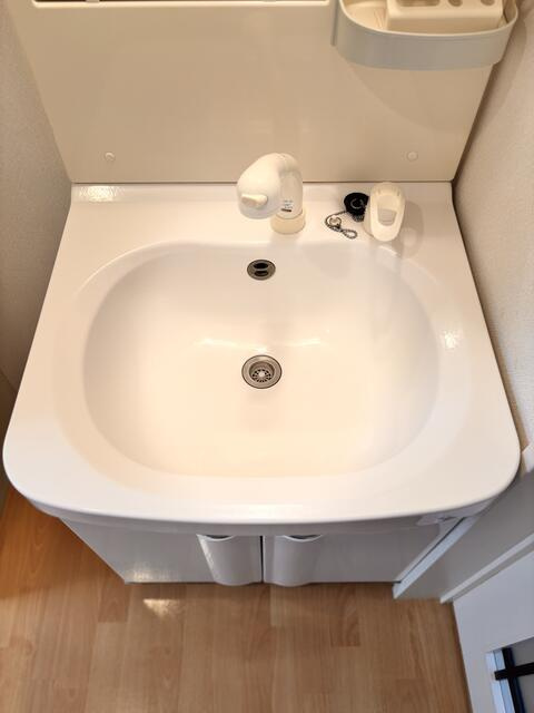 フォレストハウス鎌ヶ谷の独立洗面台