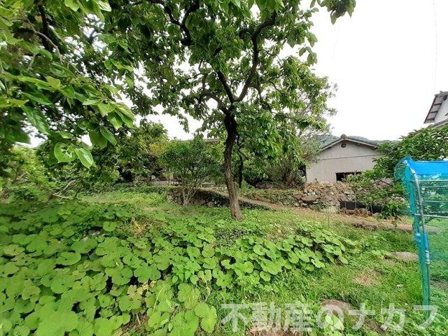 宇土市上網田町の売地の外観