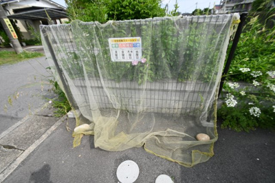 【その他共用部分】 | 星が丘メゾネットⅠ西