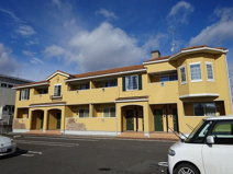 ティアラコートの画像