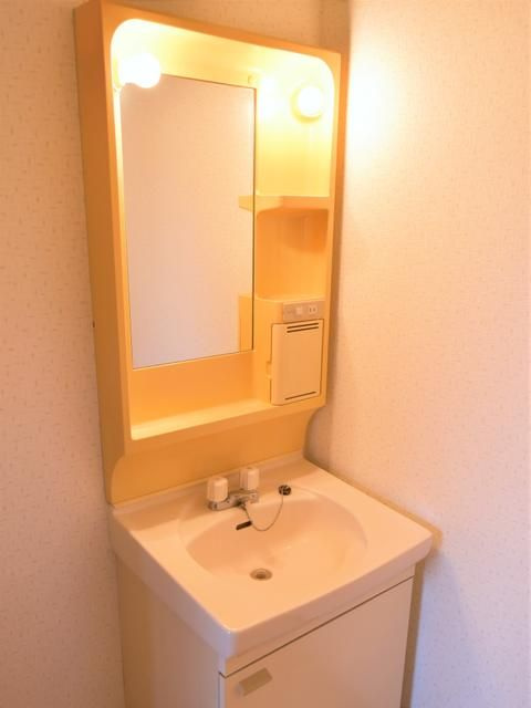 ロイヤルコーポ高木の洗面所