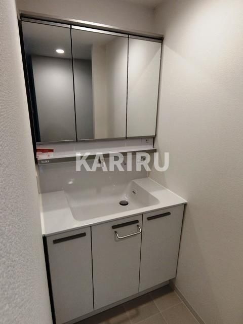 カプリース茶屋町東の洗面所