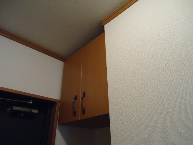 アグレストⅡの収納|下駄箱上部
