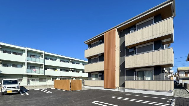 D-Crinum本田町