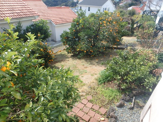 S1722H　碁石が浜分譲地中古住宅の庭