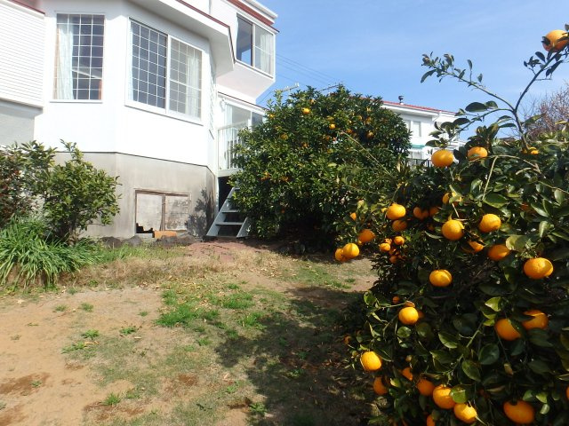 S1722H　碁石が浜分譲地中古住宅の庭