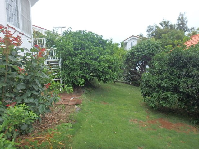 S1722H　碁石が浜分譲地中古住宅の庭