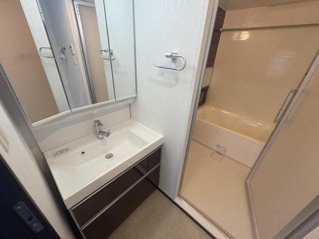 プレジオ森河内ASIANの洗面所