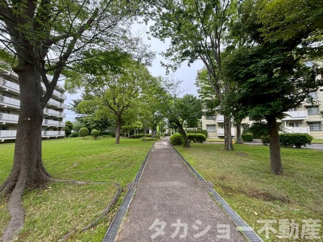 【周辺】 | みつわ台団地3丁目　2号棟