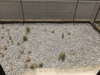 【庭】 | リースランド平出 Ｃ | 専用庭