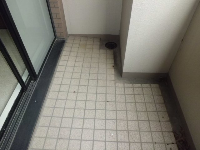 シュネルパークレジデンスの玄関