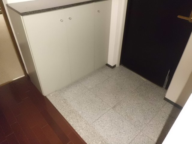 シュネルパークレジデンスの玄関