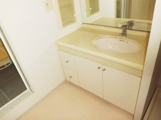 シュネルパークレジデンスの洗面所