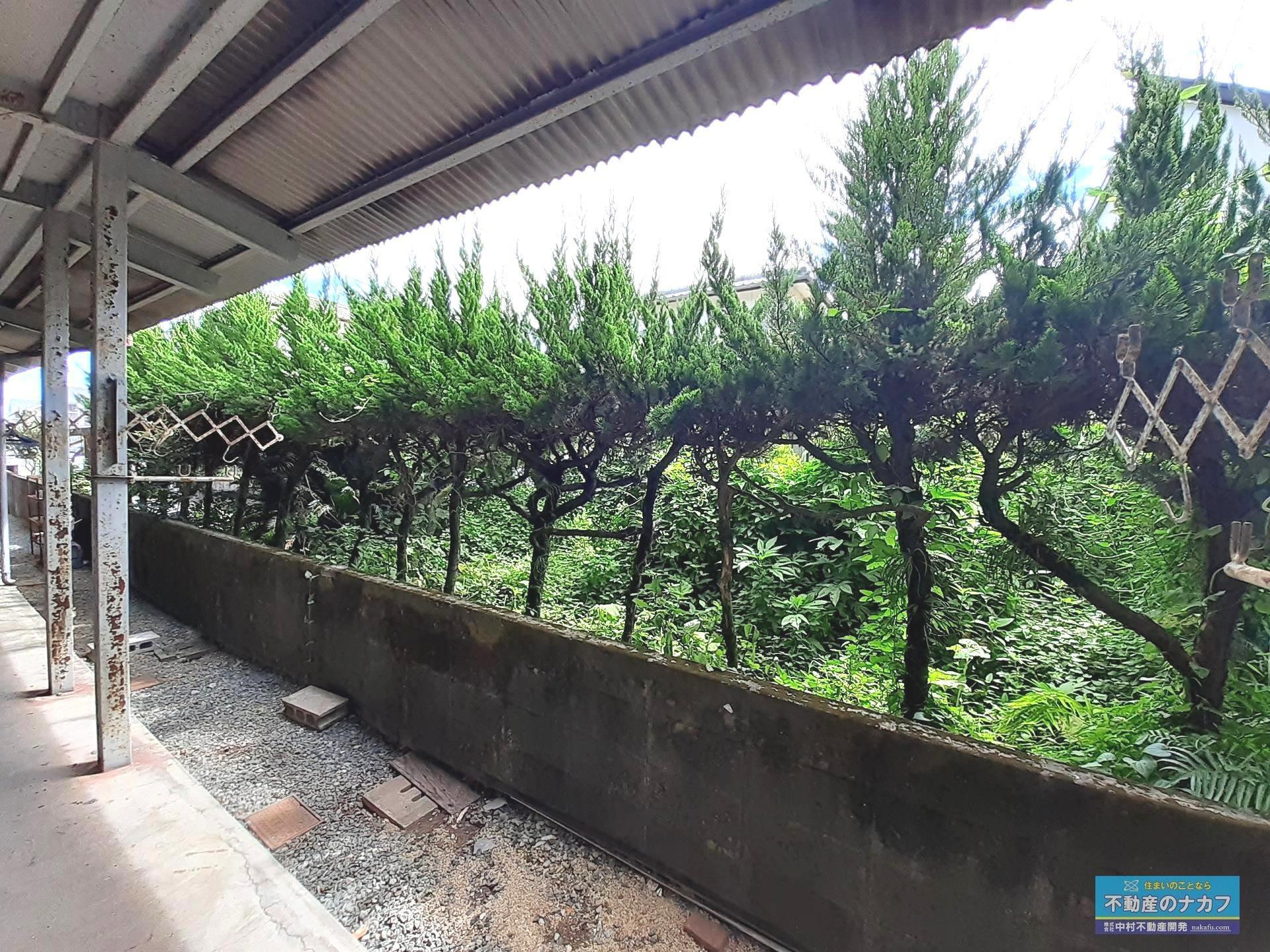 江河アパートのバルコニー