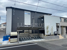 プラシードカメリアの画像