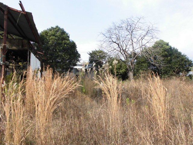 国富町大字三名の外観