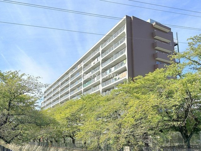 草加松原ハイツA棟の外観