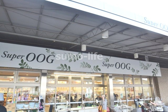 プリムローズハウスのその他|スーパーオオジ伊丹安堂寺店(スーパー)まで725m