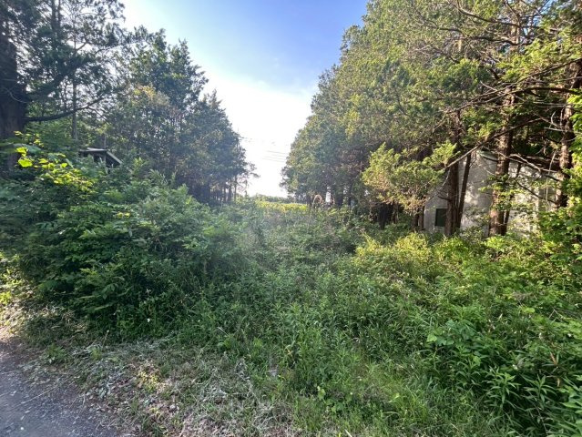 鉾田市大竹　売地の外観