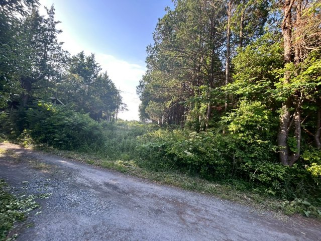 鉾田市大竹　売地の外観