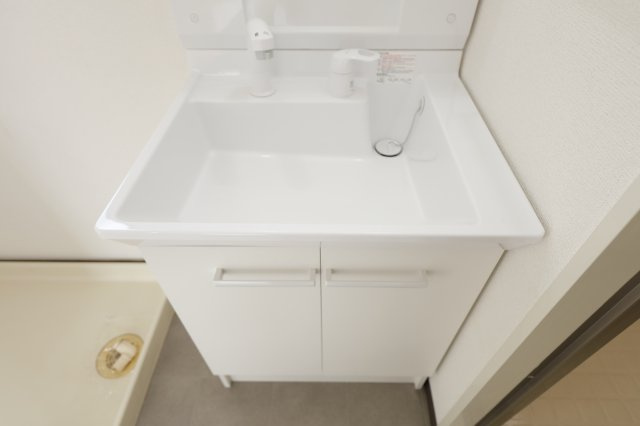 ラレーブ金町の洗面所