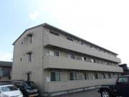 ヴァンサンカンの画像