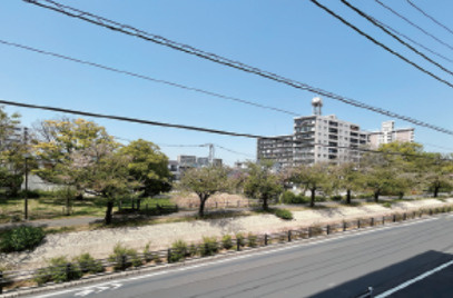 レクセルガーデン仙台堀川公園の展望