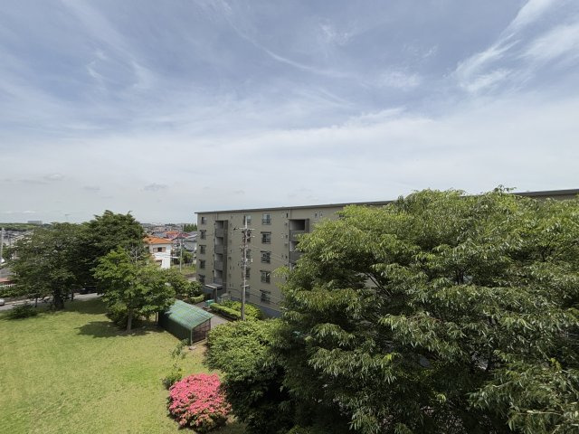 の-の画像