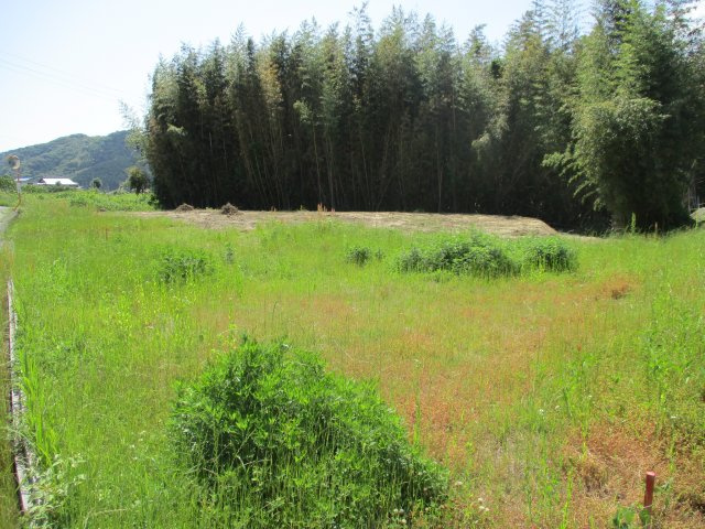 売土地　仁保下郷の外観