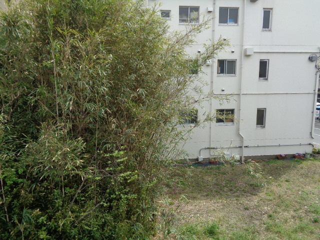 ザ・プレイス藤沢の展望