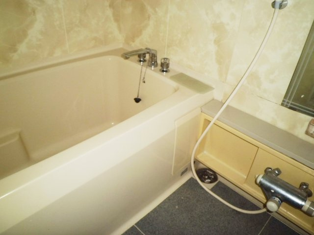 シュネルパークレジデンスの浴室