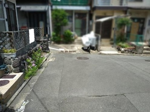 【前面道路含む現地写真】 | K22007-大宮