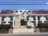 スペランザ・クニタチ３０７の画像