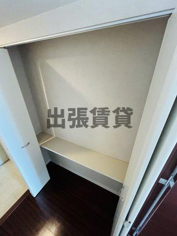 仲介手数料0円リーヴァストゥーディオ丸の内の収納