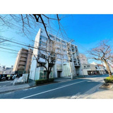 ｒａｆｆｉｎｏ　ｔａｍａｇａｗａ（ラフィーノ　タマガワ）の画像