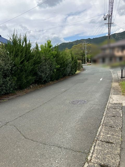 売地　豊川市足山田町上平16-1外9筆の前面道路含む現地写真|前面道路含む現地写真